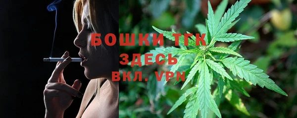 гидропоника Бородино
