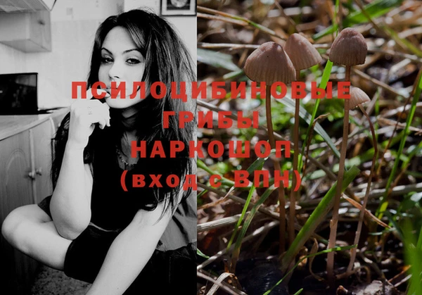 гидропоника Бородино