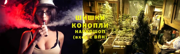 твердый Богданович