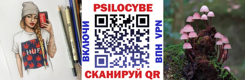 Галлюциногенные грибы Cubensis Купить закладки Агрыз